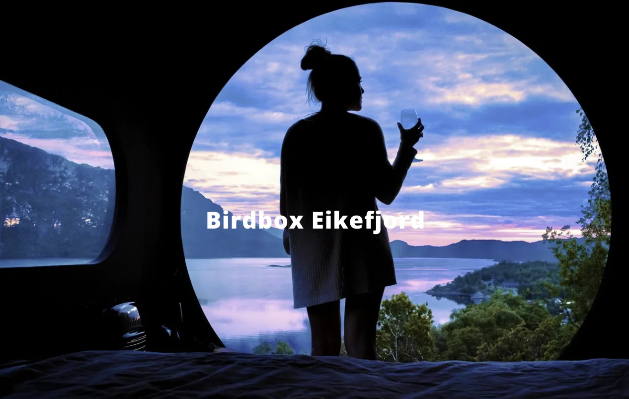 BIRDBOX BY LEVIT - Glamping 